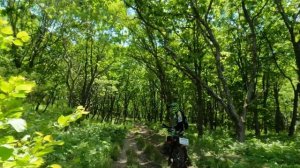 ДЕВУШКА НА ПИТБАЙКЕ УЧИТСЯ ЕЗДИТЬ СТОЯ