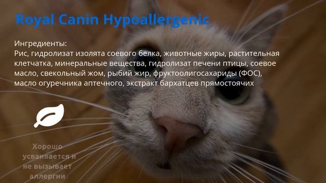 Royal Canin Hypoallergenic ( Роял Канин Гипоаллергенный) для кошек ...