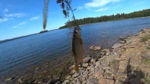 Рыбалка на озере Кисегач 2021 | Показываем наживку и улов