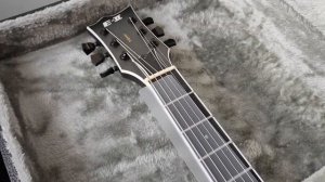 UNBOXING MY DREAM GUITAR - ESP E-II Viper Baritone