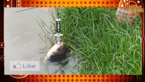 ? 30 ? ТОВАРОВ ДЛЯ РЫБАЛКИ С АЛИЭКСПРЕСС ? ТОП АЛИЭКСПРЕСС РЫБАЛКА ? АЛИЭКСПРЕСС РЫБАЛКА ПРИМАНКИ