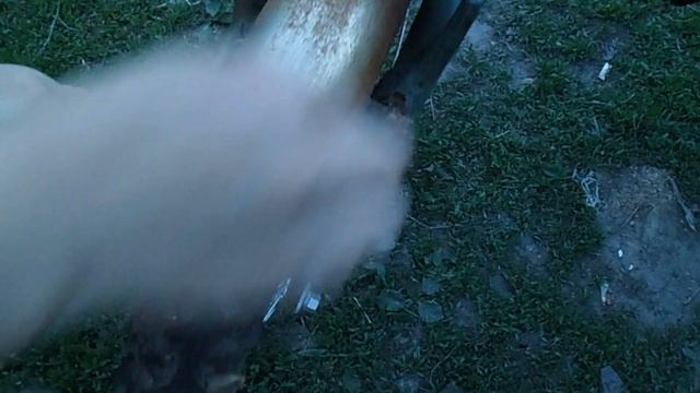 Новая очищающая паста от Гринвей Biotrim Mystik смотреть онлайн