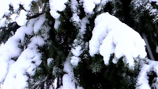 Белый цвет для детей. Учим цвета. смотреть онлайн