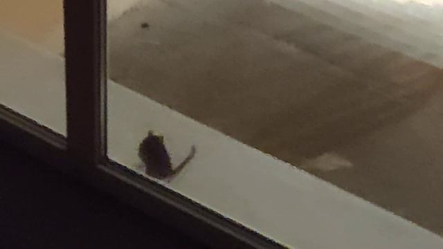 Почему я больше не хочу платить за ЖКХ и КАПремонт смотреть онлайн