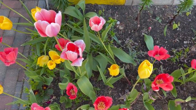 МОЯ ЖИЗНЬ В ПОЛЬШЕ, ПОЕЗДКА В КИЕВ | ПРОДАЖА КВАРТИРЫ | ПЕРЕМЕНЫ В ЖИЗНИ | ГУЛЯЕМ В ЛЕСУ | VLOG смотреть онлайн