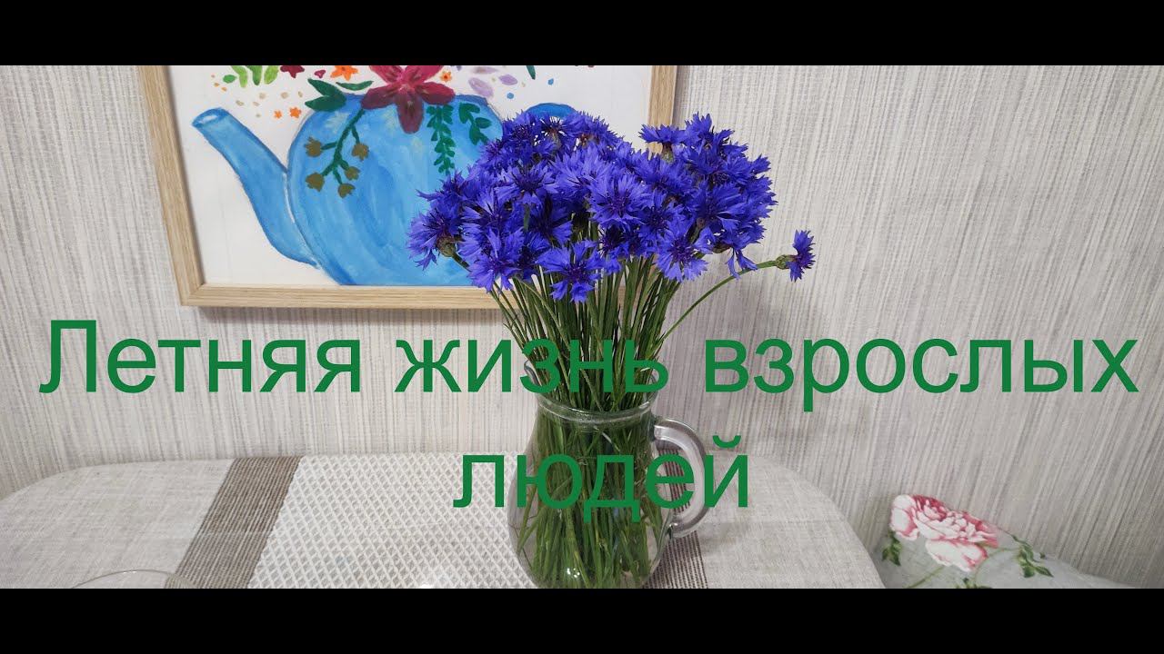 Наша летняя жизнь. смотреть онлайн