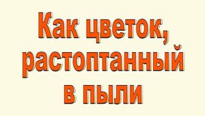 как цветок растоптанный в пыли.6 марта 2024 г.
