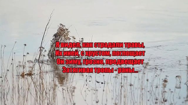 Серия: "стихи ру" Стихотворение:  "Я слышал как кружатся листья", стих про природу, стих про осень.