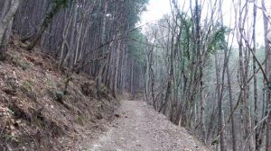 КРЫМ сегодня. ЯЛТА, которую НЕ ПОКАЗЫВАЮТ туристам. Долоссы. Ущелье Уч-Кош. Крым 2024