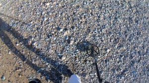 Нашел ГОЛОВУ КОНЯ, лодку, СЕРЕБРО и больше 100 монет!Пляжный поиск золота на острове с Deus 2