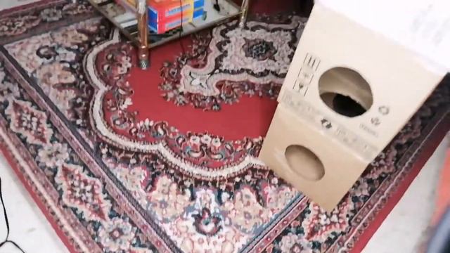 Кот и воробей собирают своих друзей смотреть онлайн