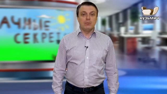 Дачные секреты 1 выпуск смотреть онлайн