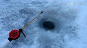 Рыбалка на Зее. Ловля на мармышку. Ловля пескаря. Ловля живца.