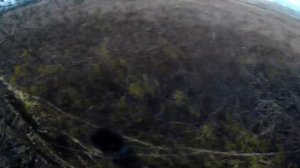 Охота на гуся.Осень 2018.