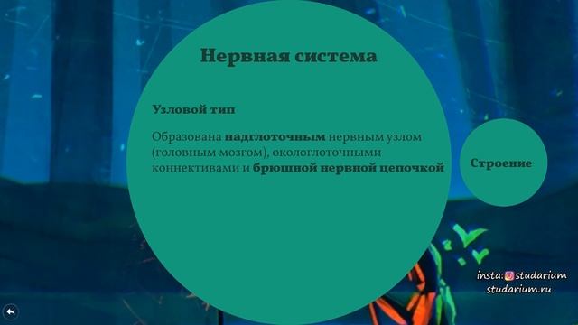 Класс ракообразные. Речной рак. Лекция и разбор заданий от Юрия Беллевича