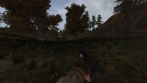 Прохождение игры Сталкер сос by stason 174 v 6.03.История сталкера муравья