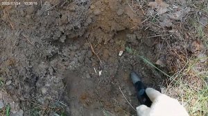 Коп с металлоискателем эквинокс 600