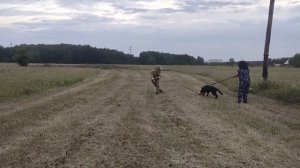 Первое занятие по защите ВЕО в 5 месяцев!!