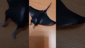 Размеры животных.