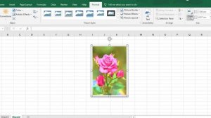 How to use illustrations Microsoft Excel 2019