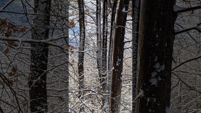 448 Сон 20.01.2024 Наставление от Господа для Церкви Иисуса Христа