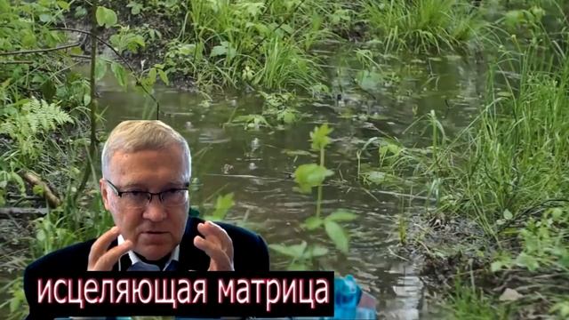 Матрица Гаряева для Сна и Отдыха 100% сон гарантирован