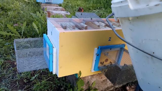 Новый тип нуклеуса смотреть онлайн