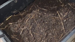 Коконы Червя Чёрного Принца