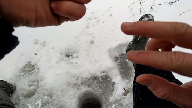 Зимняя рыбалка.ОКУНЬ В КОРЯЖНИКЕ ЗИМОЙ.ДВА ОКУНЯ на ОДНУ мормышку.