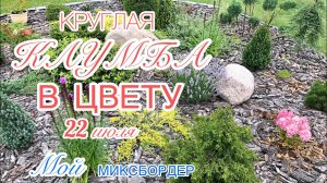 Круглая клумба в ЦВЕТЕНИИ От елей до гортензий ОБЗОР НА 22 июля ❤️