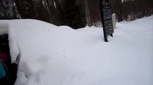 Поездка с воскресной школой на Елку Партизан. 16.01.2022.