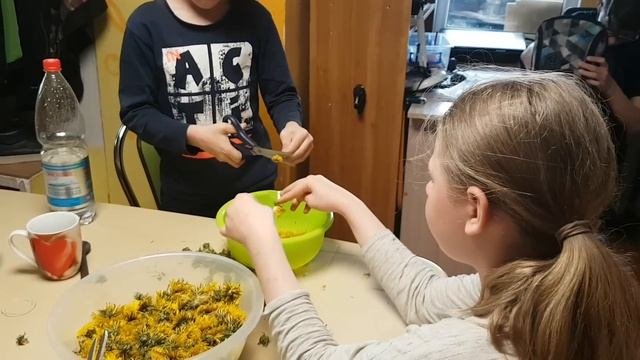 Переходим на питание травами #многодетнаясемья