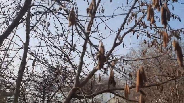 Красота природы!