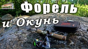 Дикая форель. Окунь. Рыбалка в Ленинградской области. Июнь 2020.