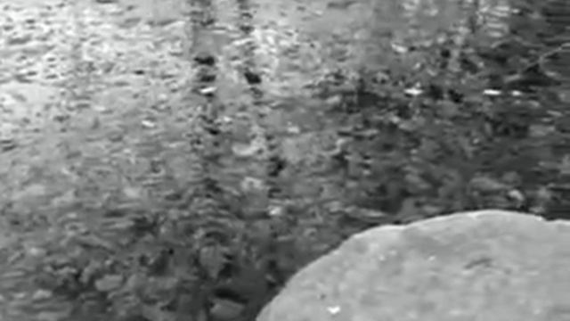 Narciss by Ovid смотреть онлайн