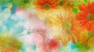 Песня Яна Ямбурга "Дарите женщинам цветы"