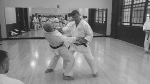 Wado-Ryu Karate Seishan Kata Application