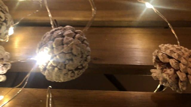 Гирлянда новогодняя из натуральных Шишек! 20 светодиод, 2м. Купить на Озон