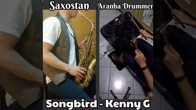 Songbird - Kenny G (Alto Sax)