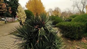 А у нас +19⛱️???.Анапа в ноябре 2022 года.#анапа