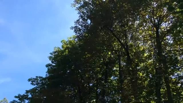 Озера Блед и Бохиньское жемчужины Словении d смотреть онлайн