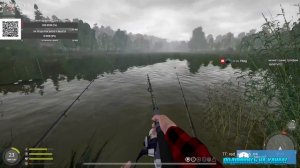 РУССКАЯ РЫБАЛКА 4 - прокачка фидера! и погоня за хорошим клевом!!!