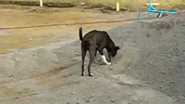 ШОК! Вот, кто наводит порядки в городе (ЮГОК, г.Кривой Рог) смотреть онлайн