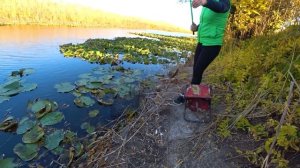 ОСЕННИЙ КАРАСЬ НА ПОПЛАВОК. Ловля крупного карася на поплавочную удочку. Рыбалка в Астрахани.