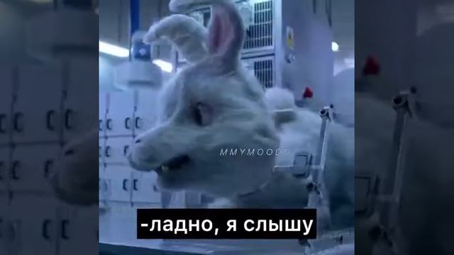 Кролик Ральф (тестирование косметики на кроликах) смотреть онлайн