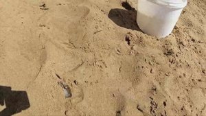 Рыбалка на фидер / река Петуховка/ Коми