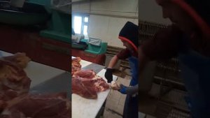 Путешествие обвальщика мяса в Онгудай
