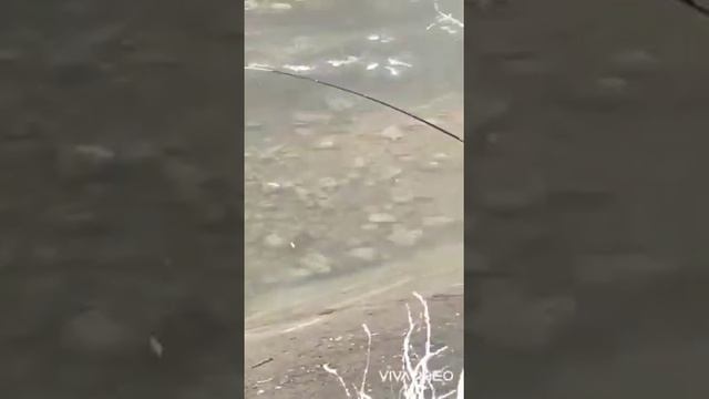 Талас кировка рыбалка,Керемет поплавочной менен кармапчыкты смотреть онлайн