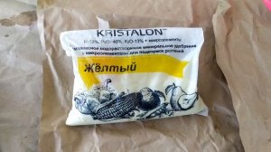 Первая подкормка гиацинтов