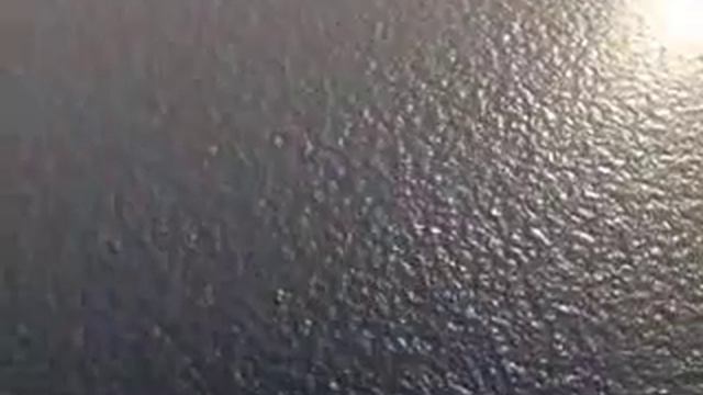 Демонстрация органической теории происхождения нефти смотреть онлайн